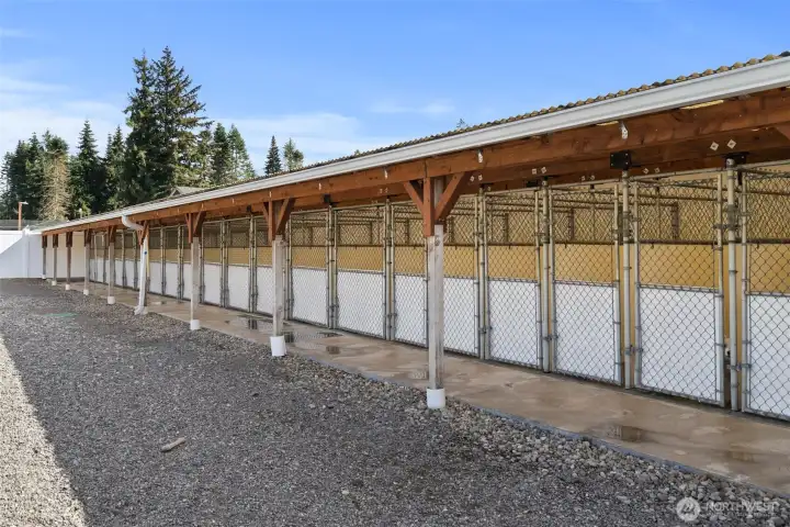 Covered outdoor kennel areas offer access to a fully fenced play areas. With secure fencing and ample room to run and explore.