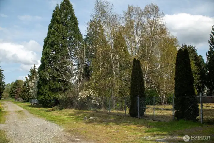 From south end of property looking north.