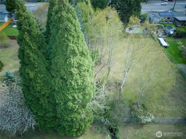 The right side is the South side.