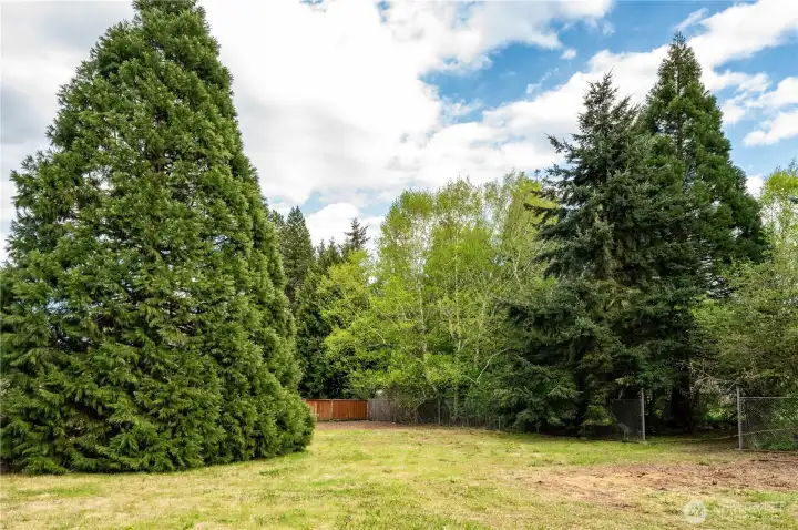 North side. To the right is the wide pathway to the South lot.