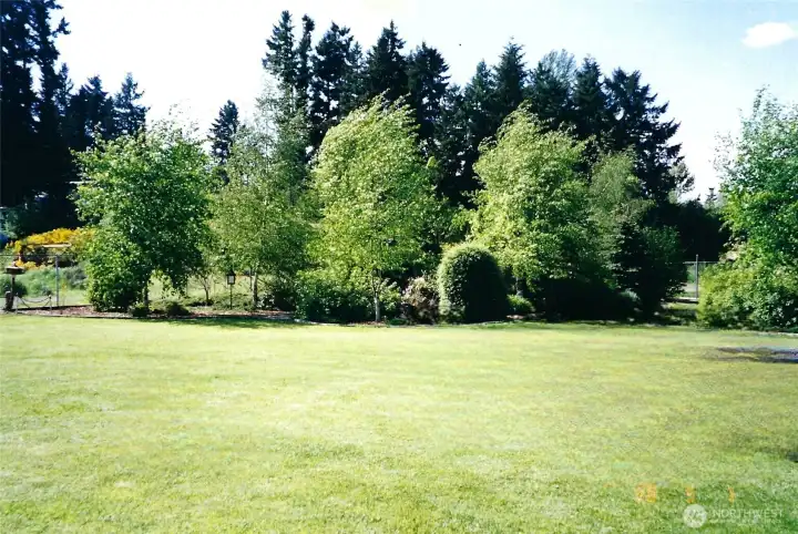 The property used to be park-like and could be again. This photo was taken by owners before they moved 8 years ago.