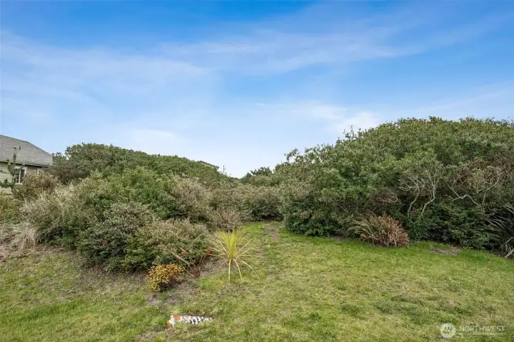 Included vacant lot next door.