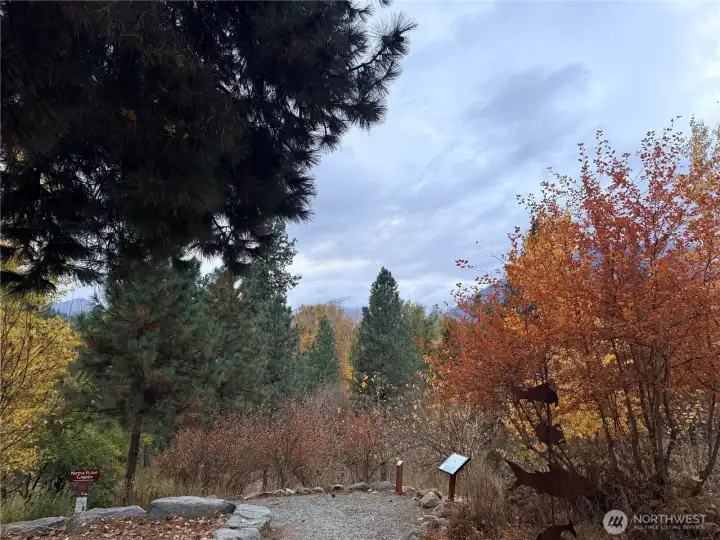 A short walk through the woods to town (scenic route)
