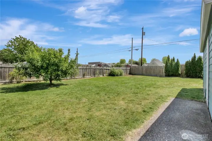 Huge, fenced backyard with raspberries, blueberries and an apple tree!