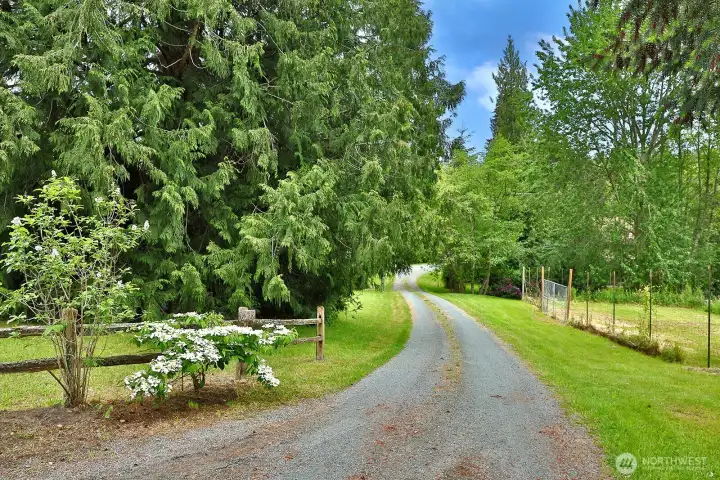 Quiet dead-end road offering privacy and seclusion. Quiet dead-end road offering privacy and seclusion.