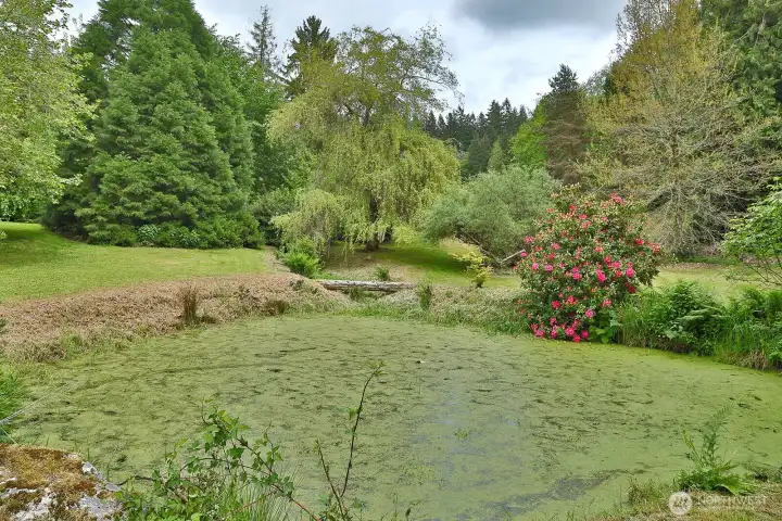 A rare property blending natural beauty with endless possibilities. A rare property blending natural beauty with endless possibilities.