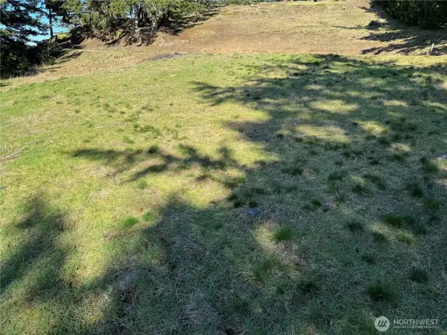 possible garden / solar area