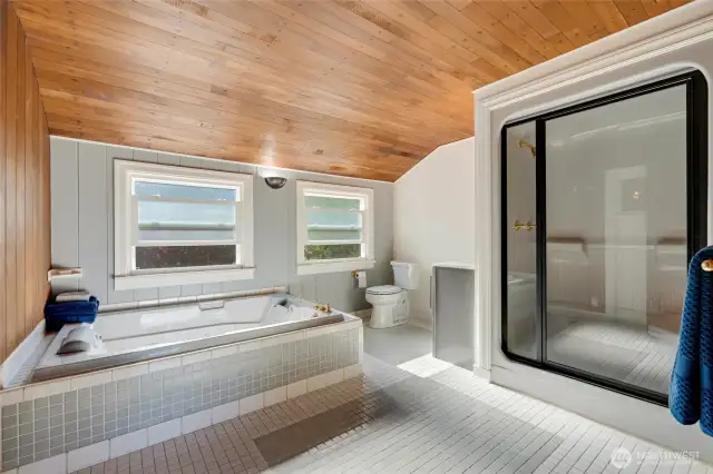Primary bath with full tub, shower, and vanity.
