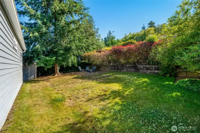Back yard with fire pit area.
