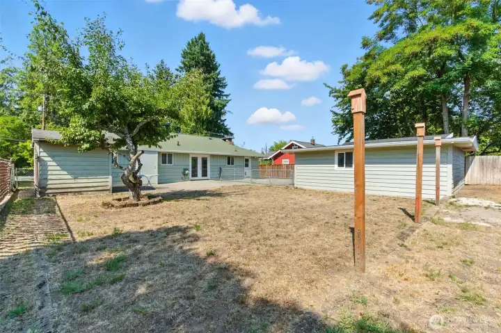 Spacious, fully fenced back yard with a plum tree and detached shop.