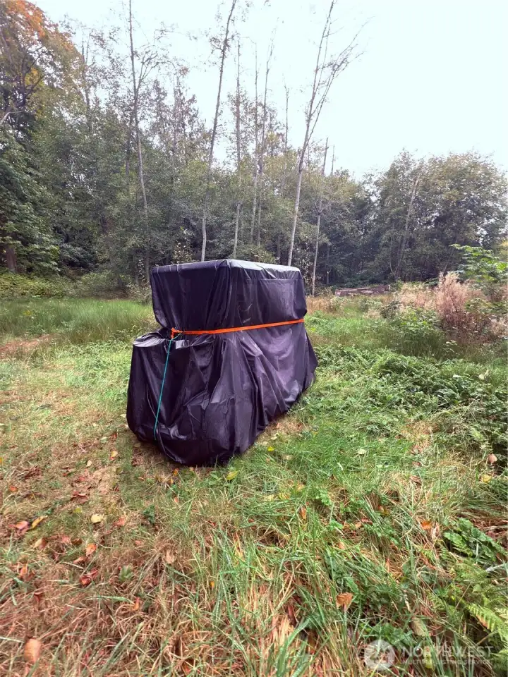 Golf cart, lawn mower & shed included