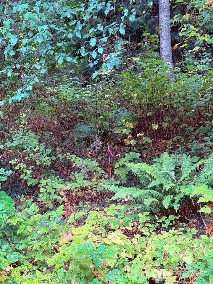 Property corners marked