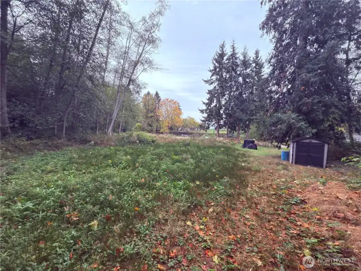 View from the back of the property.