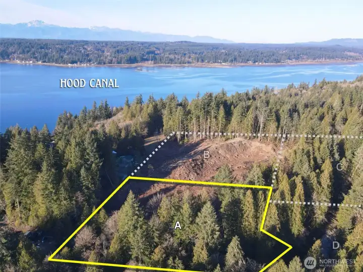 Overhead view with approximate boundaries in yellow.