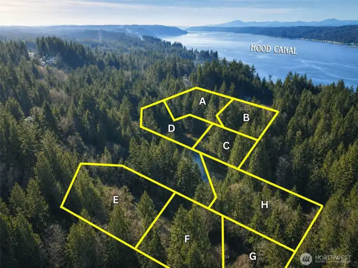 Overhead view with approximate boundaries in yellow.