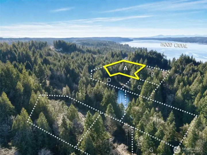 Overhead view with approximate boundaries in yellow.