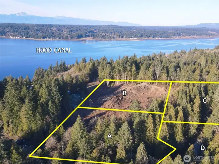 Overhead view with approximate boundaries in yellow.
