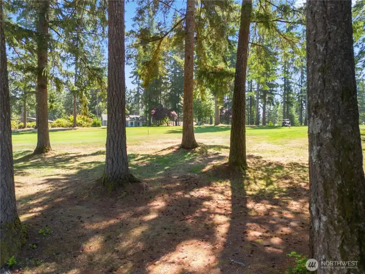 Golf course is your backyard. On the 5th fairway. Golf course is your backyard. On the 5th fairway.