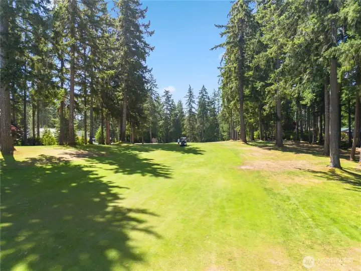 Your backyard! Your backyard!