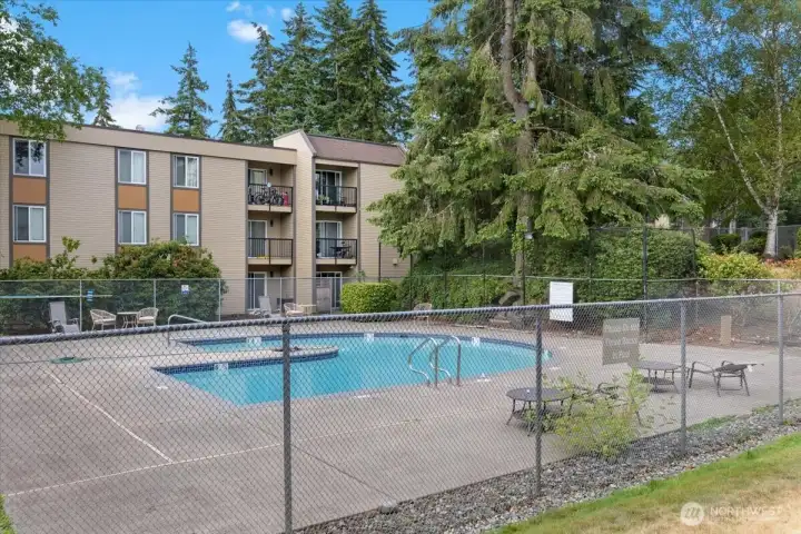 Beat the heat this summer at the outdoor pool! Beat the heat this summer at the outdoor pool!