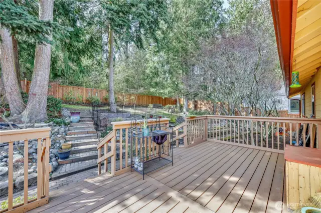 Trex style deck.