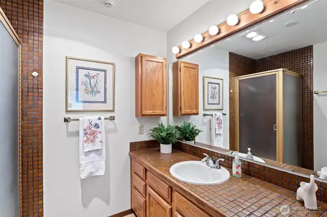 The primary bathroom with a walk-in shower, new toilet and new basin with new faucet.