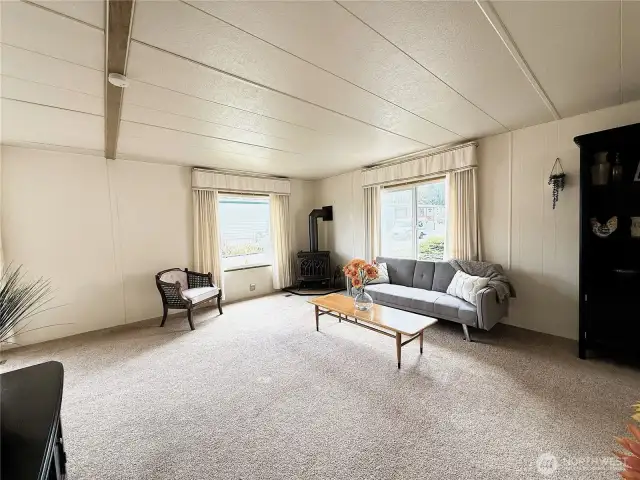 Large Livingroom with plenty of light
