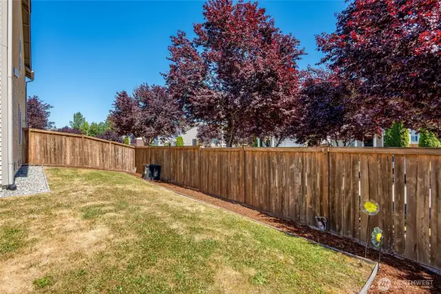 Side yard.