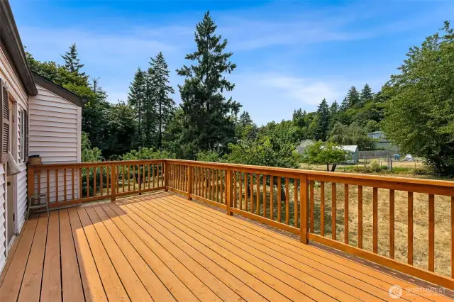 Large Deck