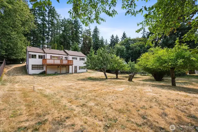Backyard View