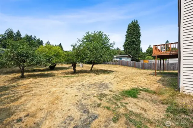Backyard View
