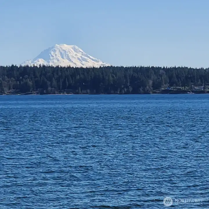 Rainier from the spit