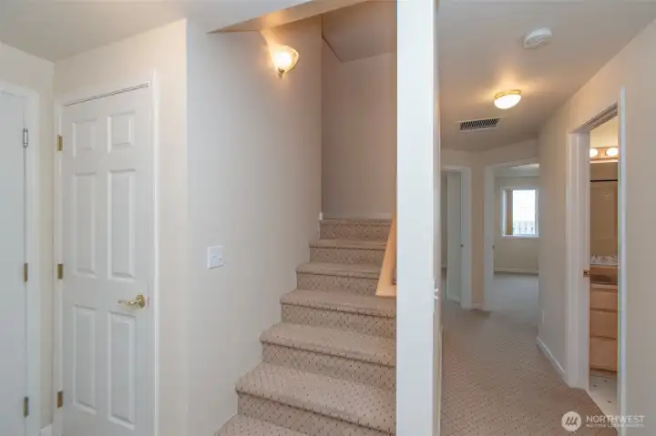Daylight Basement