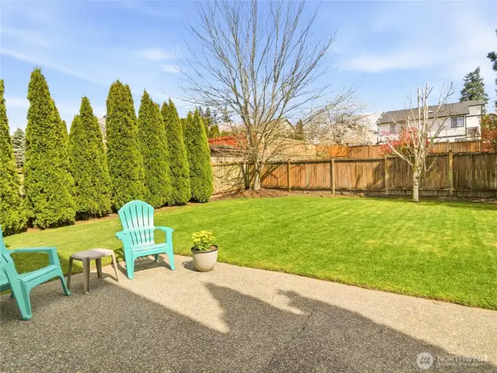 Mature Trees add privacy to the backyard.