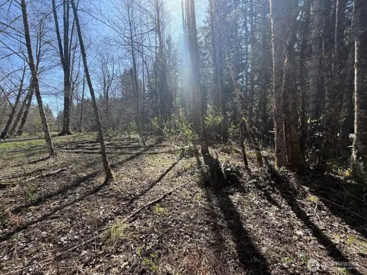 Beautiful, level,  corner property!