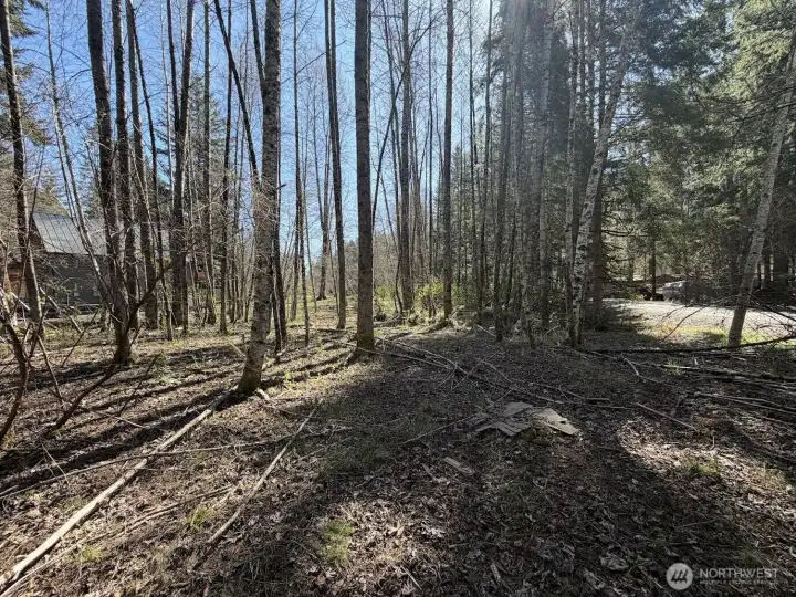 Front corner of the property