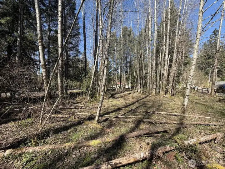 Minimal treeing has been done