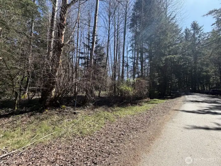Property looking down Nisqually Way