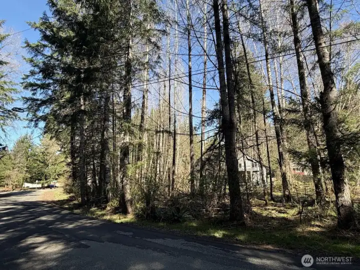 Beautiful corner lot