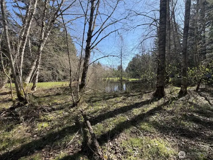 Near the back of the property looking out to the lake