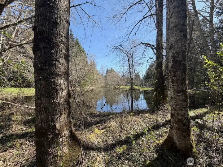 Far back of the property