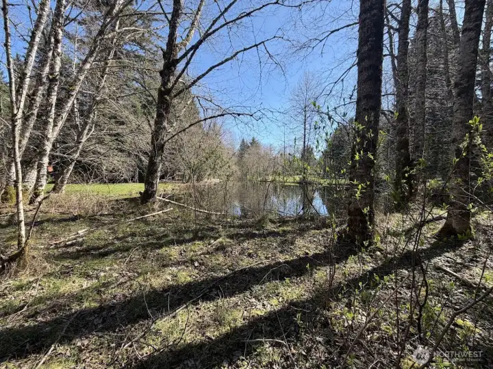 This corner property has a beautiful small lake behind it!