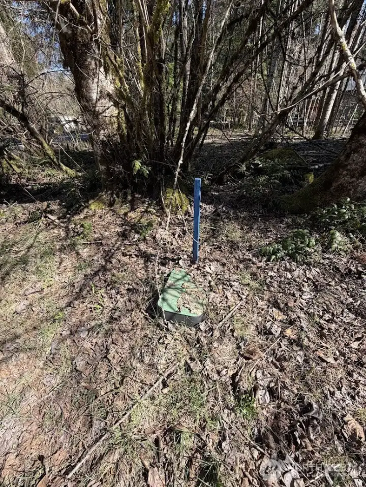 Water hookup at corner of property.