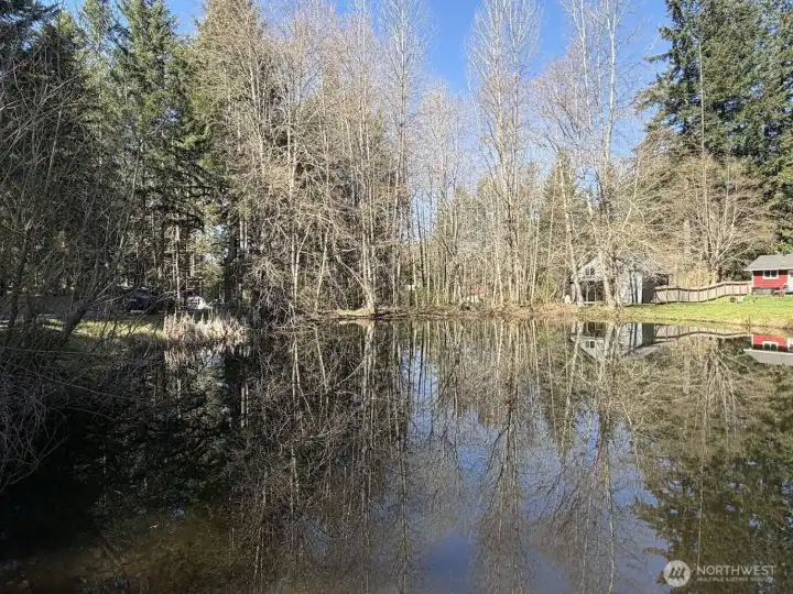 View from the park, property is on the left