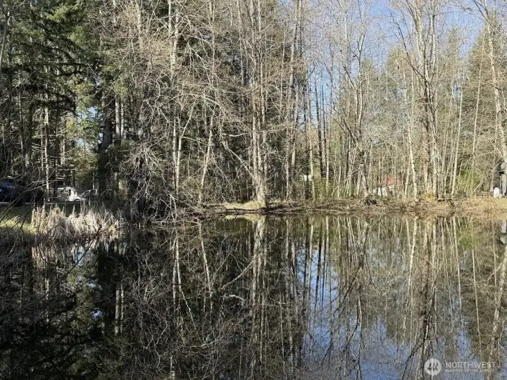 View from the community park, property is across the water center left.