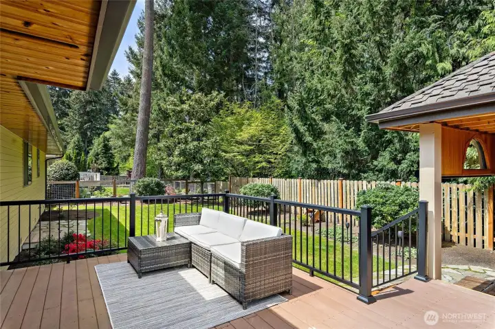 deck and back yard