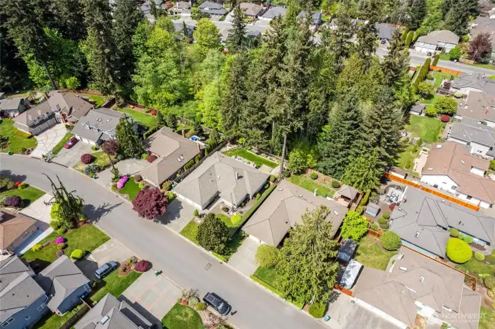 See the large green belt behind the house
