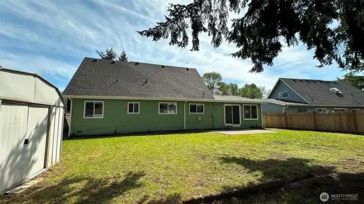 back yard