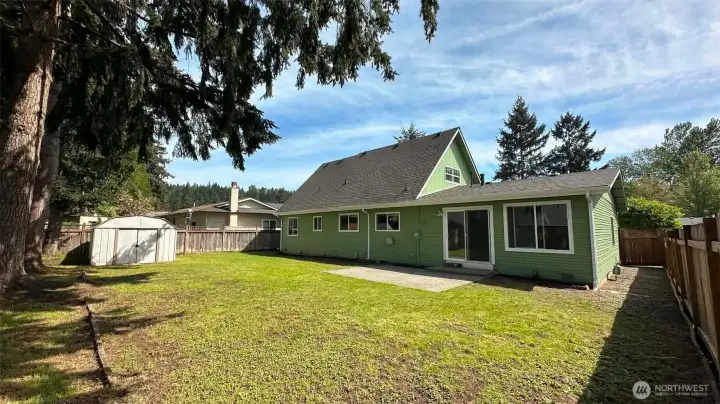 back yard
