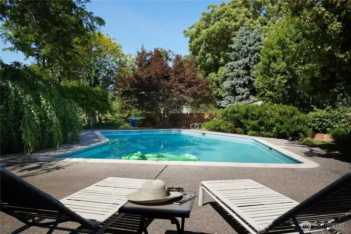 40'X20' gunite pool 40'X20' gunite pool